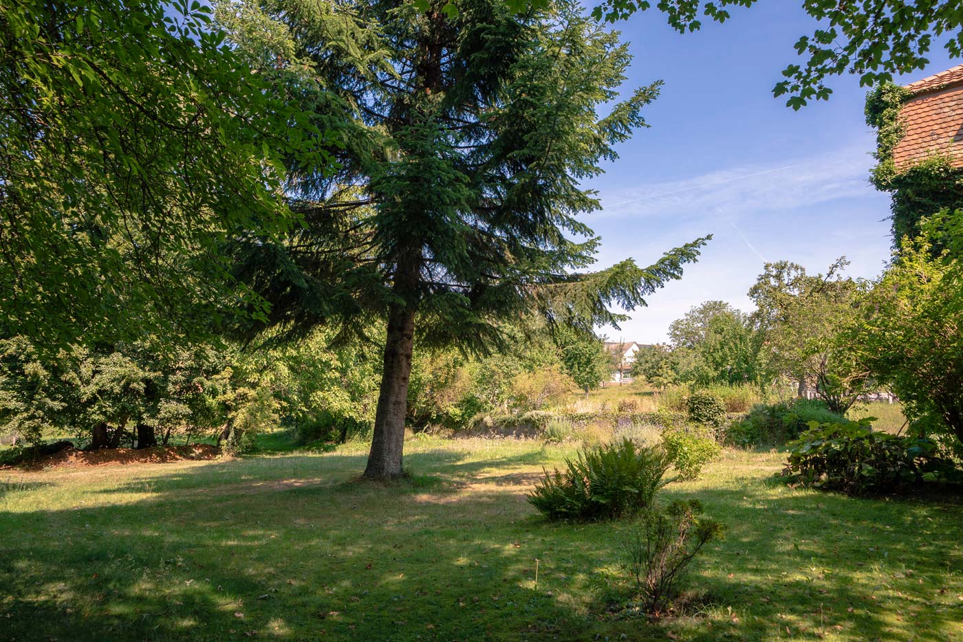 hofgut-leo-aussenbereich-WIP04261